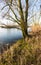 Flooded floodplain of a major river in the Netherlands