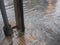 Flooded footpath by rain