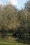 Flooded Gate to Woodland