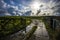 Flooded gateway in the Blackdown Hills