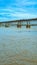 Flooded Godavari river flows through Rajahmundry town during monsoon, Andhrapradesh, India