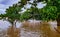 Flooded Godavari river submerged Rajahmundry town in Andhrapradesh, India.