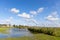 The flooded and green shore of the Achterwasser in Zempin on the island of Usedom in the Baltic Sea