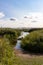 The flooded and green shore of the Achterwasser in Zempin on the island of Usedom in the Baltic Sea