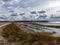 Flooded lake shore, overgrown with last year`s reeds and bushes, bird migration, beautiful cumulus clouds