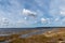 Flooded lake shore, overgrown with last year`s reeds and bushes, bird migration, beautiful cumulus clouds