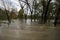 Flooded land and trees