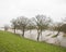 Flooded land and trees near river rhine in holland