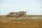 Flooded landscape Australia