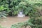 Flooded Macal River in Belize