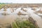 Flooded maize stubble field