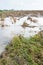 Flooded maize stubble field