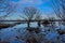 Flooded marsh with bare trees and reed in bourgoyen nature reserve in Ghent