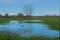 flooded meadow with bare tree in the flemish countryside