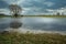 Flooded meadow with tree and cloudy sky