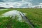 Flooded meadow with water and clouds on the sky, Nowiny, Poland