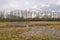 Flooded meadows with bare trees in the Flemish countryside