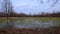 Flooded meadows in Poland