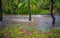 A flooded Merri Creek in Northcote Melbourne