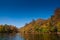 Flooded multicolored autumn forest