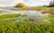 Flooded nature area in a Dutch polder