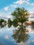 Flooded Neighborhood