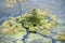 Flooded Okavango Delta