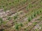 Flooded orchard and excess water after rain and thunder