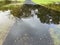 Flooded pedestrian walkway after heavy rain. Trees reflect on water