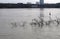 Flooded pedestrian zone in Cologne, Germany