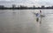 Flooded pedestrian zone in Cologne, Germany