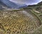 Flooded rice fields in china, Xijiang miao village, Guizhou Prov