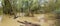 Flooded riparian forest with tree trunks floating on high water