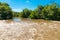 Flooded river after heavy rain.