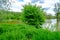 Flooded riverside forest at the danube river