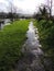 Flooded riverside path, seen against bright light.