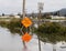 Flooded roadway