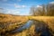 Flooded root road in steppe