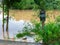 Flooded Soccer field - Capivari river overflow - Sao Paulo - Brazil