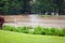 Flooded soccer field after heavy rain