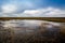 Flooded spring meadow