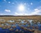 Flooded spring prairie under a sparkle sun