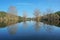 Flooded trees standing in water with reflections