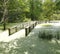 Flooded Water Garden Boardwalk Gainesville Florida