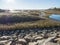 Flooded wetland spring tide