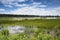 Flooded wetlands during the wet season