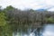 Flooding along the Columbia River