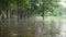 Flooding in Bangkok, Thailand. Heavy Rain in a Puddle on a Tropical Forest Park. 4K, Slowmotion.