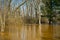 Flooding creek in spring after rains