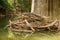 Flooding Debris Under a Creek Bridge